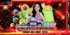 3 càng